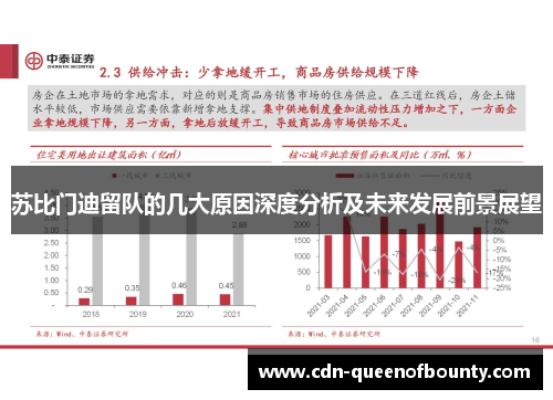苏比门迪留队的几大原因深度分析及未来发展前景展望