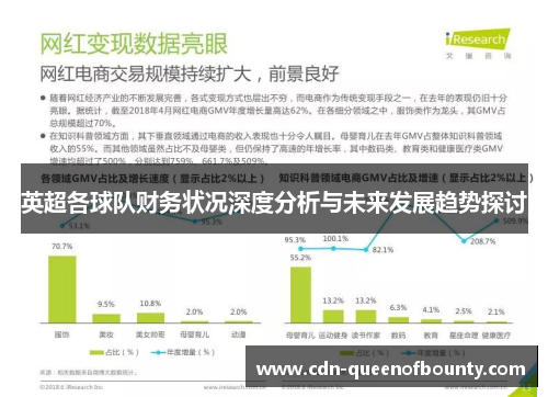 英超各球队财务状况深度分析与未来发展趋势探讨