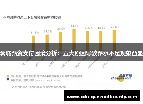 蓉城薪资支付困境分析：五大原因导致薪水不足现象凸显