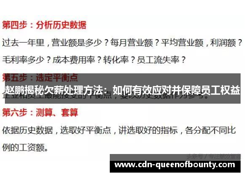 赵鹏揭秘欠薪处理方法：如何有效应对并保障员工权益