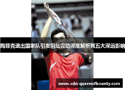 陶菲克退出国家队引发羽坛震动深度解析其五大深远影响