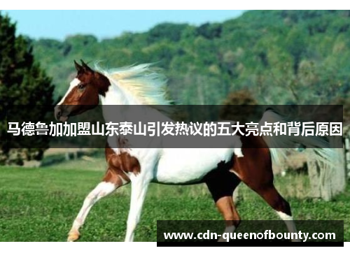 马德鲁加加盟山东泰山引发热议的五大亮点和背后原因