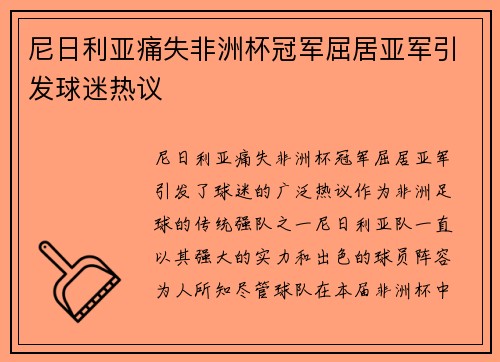 尼日利亚痛失非洲杯冠军屈居亚军引发球迷热议
